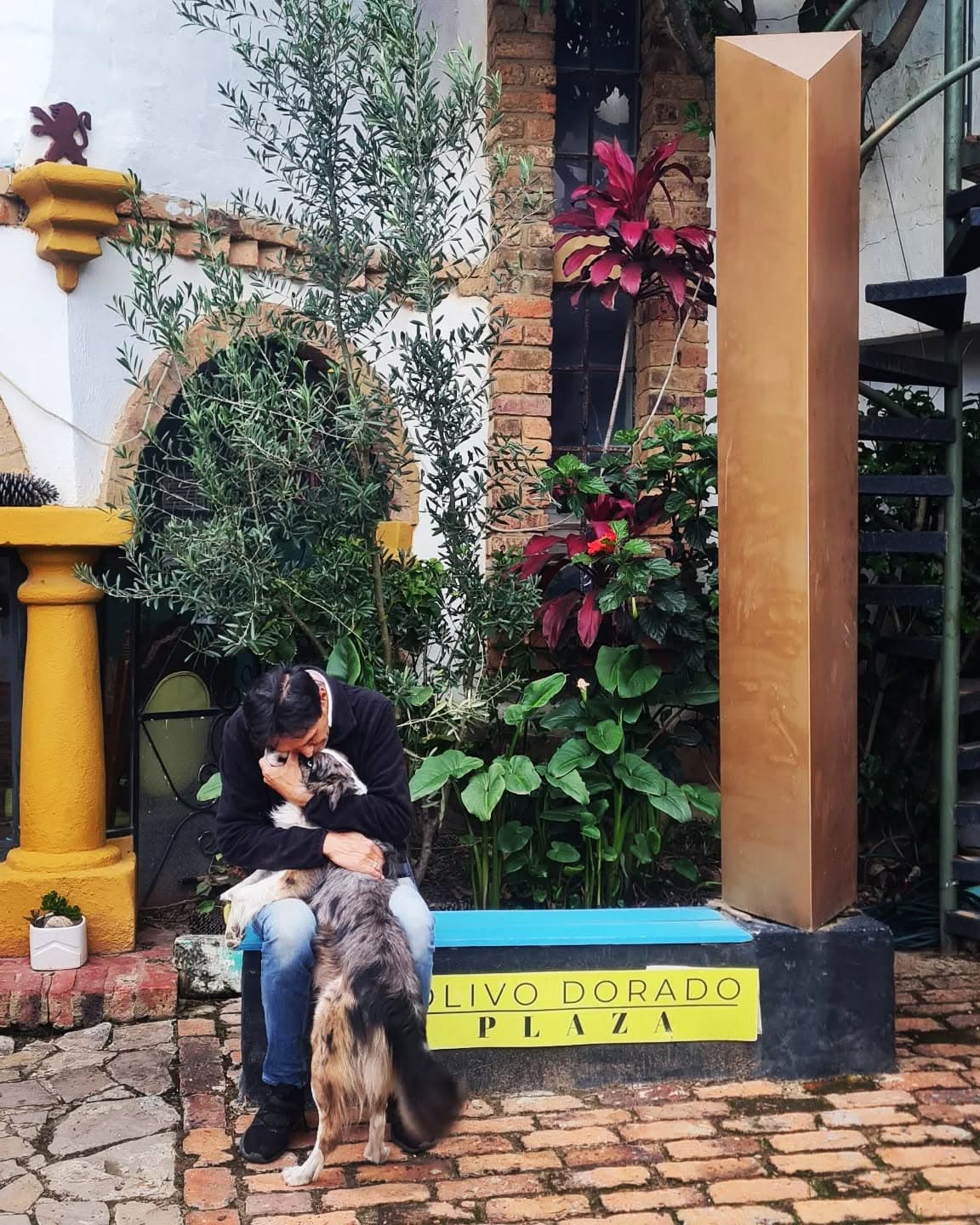 Estancia EL OLIVO Pet-friendly. #OlivoDoradoPlaza #Estancia EL OLIVO #Obeliscod